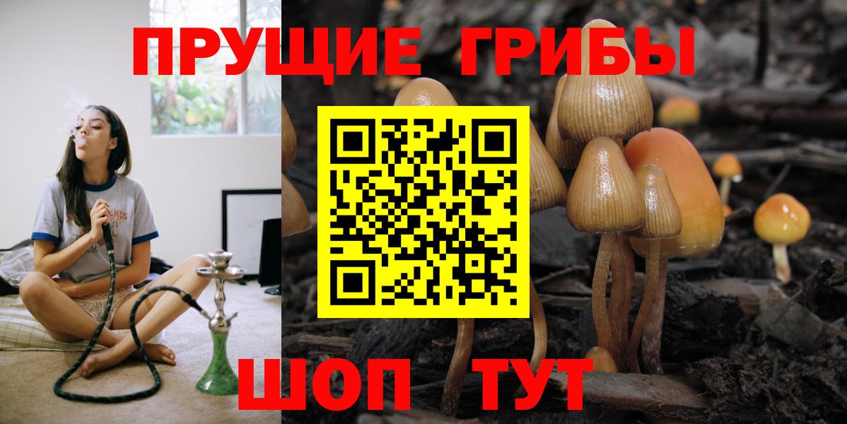 Галлюциногенные грибы ЛСД Зеленогорск