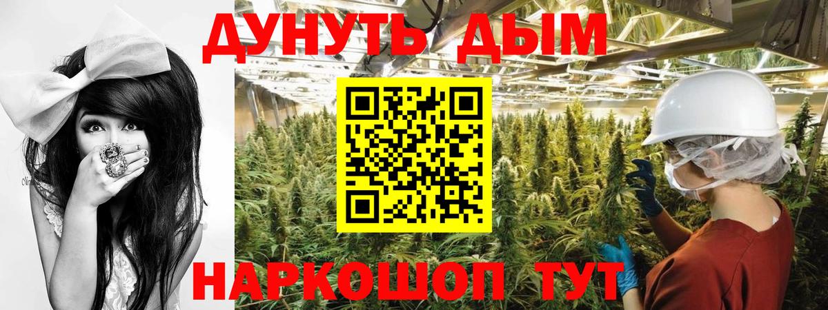 Каннабис конопля Зеленогорск